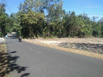 Tanah Dijual Jogja Dekat Bandara YIA Kulonprogo SHMP