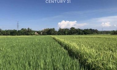 Dijual Tanah Strategis Subur Akses Mudah Di Kasokandel Majalengka