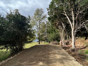 Parcelas con vista y acceso al Lago Ranco