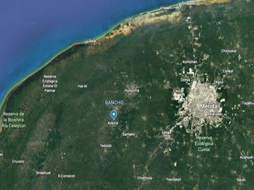 Terreno en Venta / Kinchil, Yucatán -11.44ha