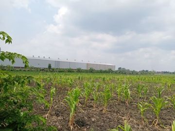 DIJUAL TANAH INDUSTRI WRINGINANOM GRESIK
