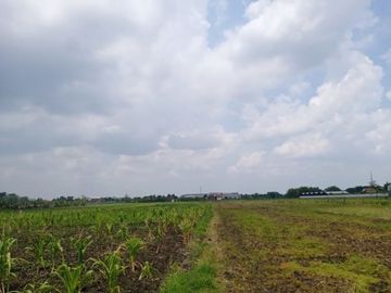 DIJUAL TANAH INDUSTRI WRINGINANOM GRESIK