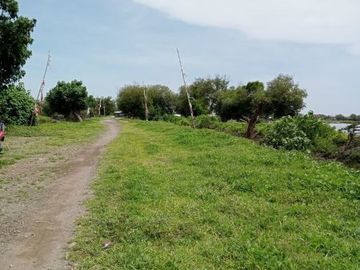 Rumah Baru di Sidoarjo Dekat Sekolahan dan Pemancingan