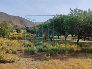 Sitios en venta en Curacavi