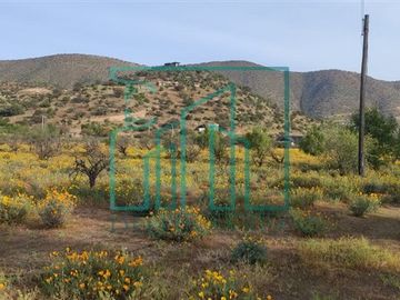 Sitios en venta en Curacavi