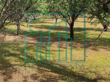 Sitios en venta en Curacavi