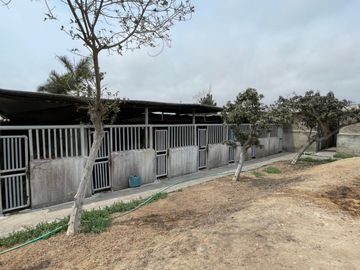 VENDO INMUEBLE CASA HACIENDA_ZON INDUSTRIA LIVIANA EN LURIN
