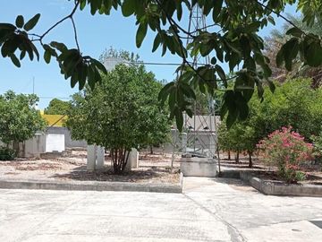 Propiedad en Venta Dr. González Nuevo León