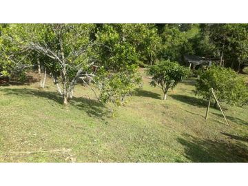 SE VENDE CASA DE CAMPO EN ZANJON DE PIEDRA ANDALUCIA.