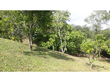 SE VENDE CASA DE CAMPO EN ZANJON DE PIEDRA ANDALUCIA.
