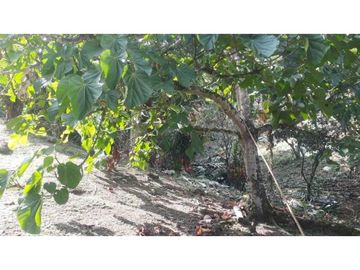 SE VENDE CASA DE CAMPO EN ZANJON DE PIEDRA ANDALUCIA.