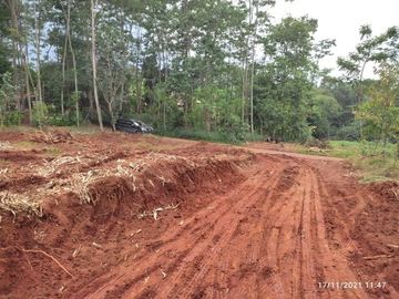 Tanah Daerah Pododadi Karanganyar Pekalongan, SHM, Harga 46 Jt-an