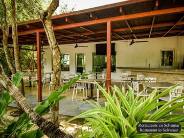 Terreno Multifamiliar 1761 m2, cenote, gym, parques, en venta, Selvamar