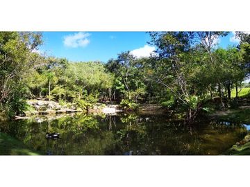 Terreno Multifamiliar 1761 m2, cenote, gym, parques, en venta, Selvamar