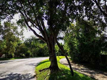Terreno Multifamiliar 1761 m2, cenote, gym, parques, en venta, Selvamar