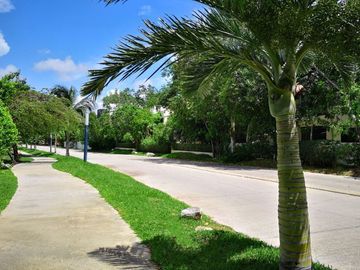 Terreno Multifamiliar 1761 m2, cenote, gym, parques, en venta, Selvamar