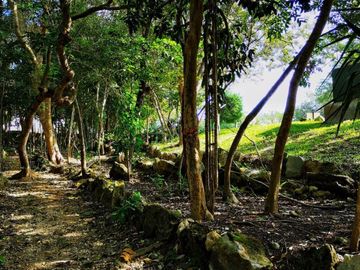 Terreno Multifamiliar 1761 m2, cenote, gym, parques, en venta, Selvamar