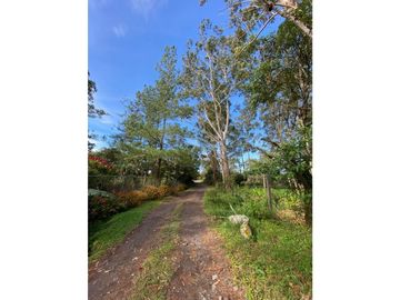 VENDO LOTE DE 2900 M2 A SEGREGAR DE FINCA MADRE VOLCAN