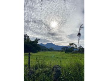 VENDO LOTE DE 2900 M2 A SEGREGAR DE FINCA MADRE VOLCAN