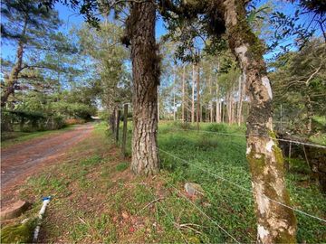 VENDO LOTE DE 2900 M2 A SEGREGAR DE FINCA MADRE VOLCAN