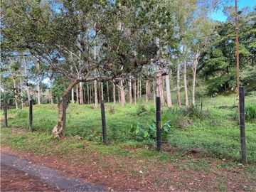 VENDO LOTE DE 2900 M2 A SEGREGAR DE FINCA MADRE VOLCAN