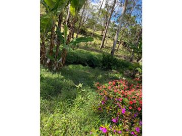 VENDO LOTE DE 2900 M2 A SEGREGAR DE FINCA MADRE VOLCAN