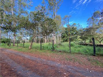 VENDO LOTE DE 2900 M2 A SEGREGAR DE FINCA MADRE VOLCAN