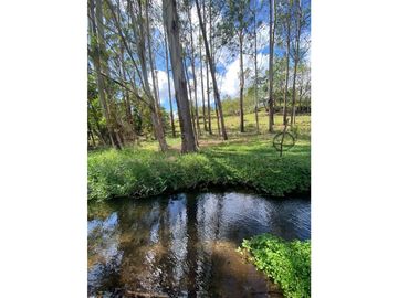 VENDO LOTE DE 2900 M2 A SEGREGAR DE FINCA MADRE VOLCAN