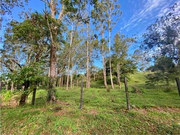 VENDO LOTE DE 2900 M2 A SEGREGAR DE FINCA MADRE VOLCAN
