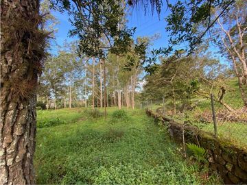 VENDO LOTE DE 2900 M2 A SEGREGAR DE FINCA MADRE VOLCAN
