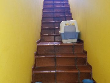 Departamento Tipo Casa en venta en Gerli Este