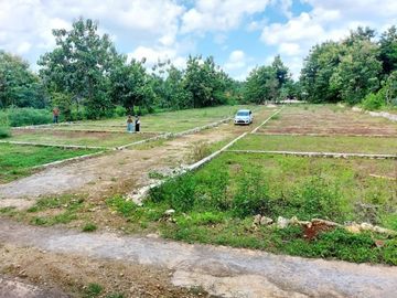 Selling cheap land lots in a special area of ​​Yogyakarta
