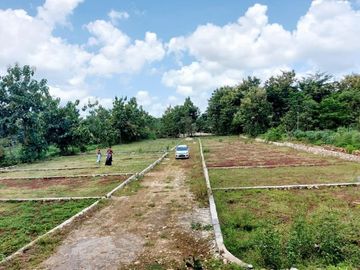 Selling cheap land lots in a special area of ​​Yogyakarta