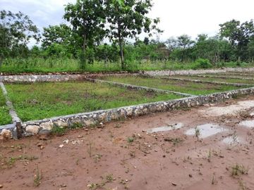 Selling cheap land lots in a special area of ​​Yogyakarta