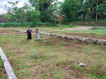Selling cheap land lots in a special area of ​​Yogyakarta