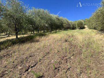 Sitio en Venta en Ruta k-530