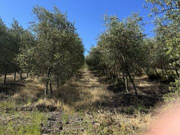 Sitio en Venta en Ruta k-530