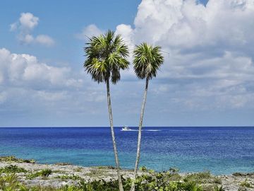 Departamento con alberca, jacuzzi, asador, pádel, bar, en venta, Cozumel.