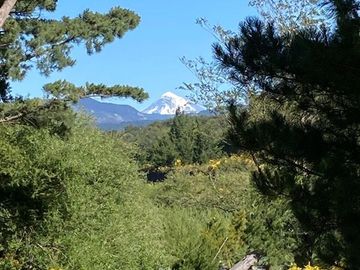 Complejo Turístico en Venta con Orilla de Río Trancura