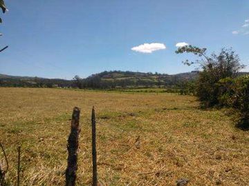VENDO TERRENO CUMBAYA, RUTA VIVA, 3 HECTAREAS