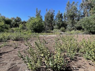 Terreno Construccion  en Venta en San Carlos Apoquindo Venta terreno UF16 m2 Las Condes One Propiedades