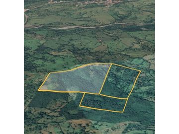 VENDO FINCA DE 67 HECTAREAS EN REMEDIOS
