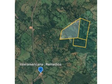 VENDO FINCA DE 67 HECTAREAS EN REMEDIOS