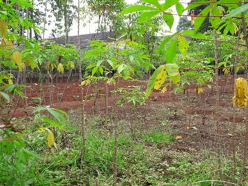 Kavling Strategis di Serpong | MY 6566 - RS