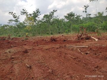Kapling Dekat Jalan Karanganyar Pekalongan, SHM Aman, Bayar 12x