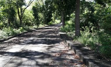 159 Sqm Affordable Corner Lot for Sale in Casili Consolacion Cebu Ready to build