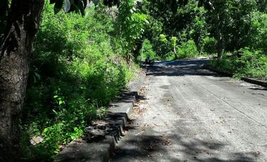 159 Sqm Affordable Corner Lot for Sale in Casili Consolacion Cebu Ready to build