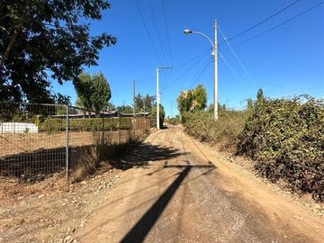 Agrícola en Venta en Parcela Agrícola con gran casa, quincho, galpón camino a Pinto
