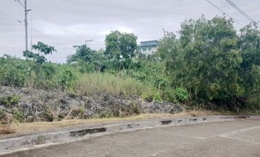 164 Sqm Residential Lot for Sale in Vista Grande Talisay Cebu City