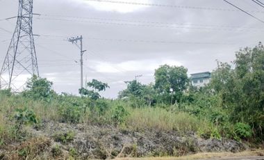 164 Sqm Residential Lot for Sale in Vista Grande Talisay Cebu City